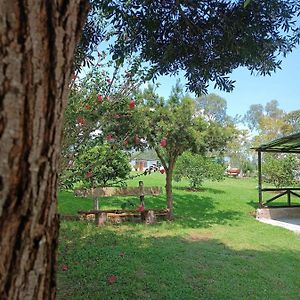 Finca San Alejandro